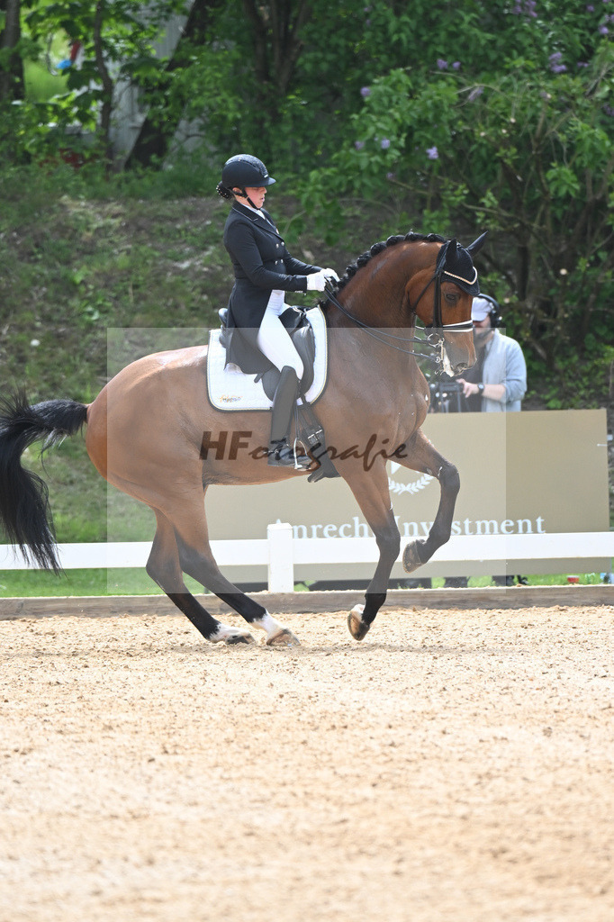 Neumayer_Zap Zap_11234011 | hf-fotografie - Realisiert mit Pictrs.com