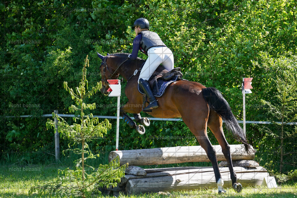20240518-FAH03074 | rbilder, Turnierfotografen ayern, Fotoagentur Herrmann, Geländeturnier, Springbilder, Dressurbilder, Jungpferdefotograf