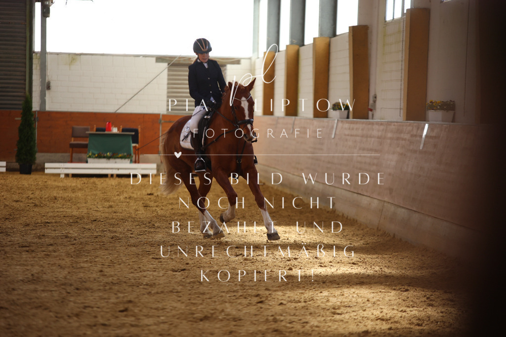 IMGT0699 | pl-fotografie