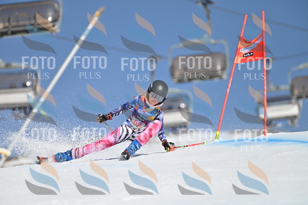 BGV_8562 | holidayphoto