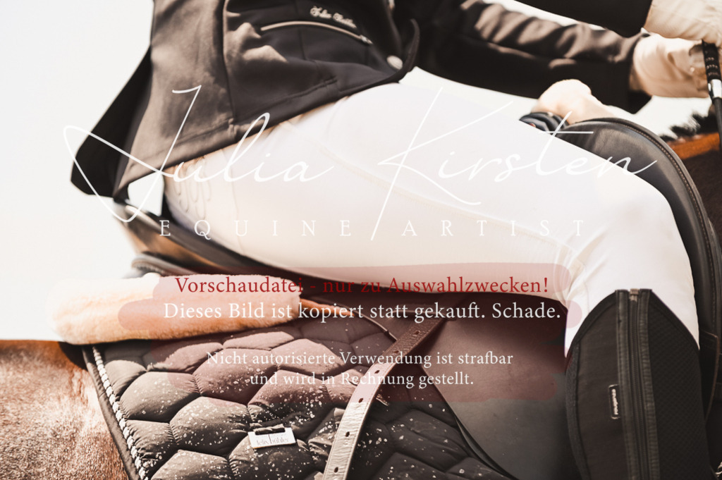 DSC_6214 | Pferde- und Turnierfotografie in Westsachsen. Pferdeportraits, Auftragszeichnungen und intuitive Kunst.