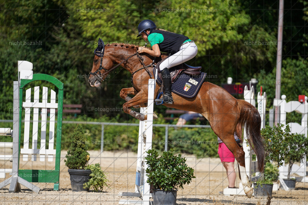 20240824-FAH08315 | Thierhaupten 2024, Bayerisches Landesponyturnier, Turnierbilder, Ponybilder, Turnierfotografen Bayern, Fotoagentur Herrmann