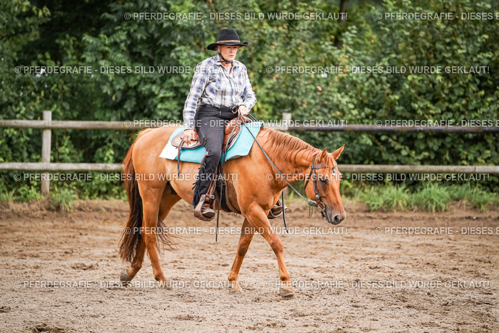 DSC08708 | Pferdegrafie