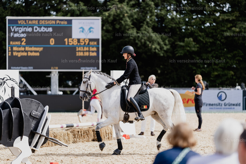 Tanesha5FHC2025-01579 | working equitationturnier fotograf videograf stoibphotography marixx film working equitation deutschland reitsport turnierfotografie eventfotografie equestrian events