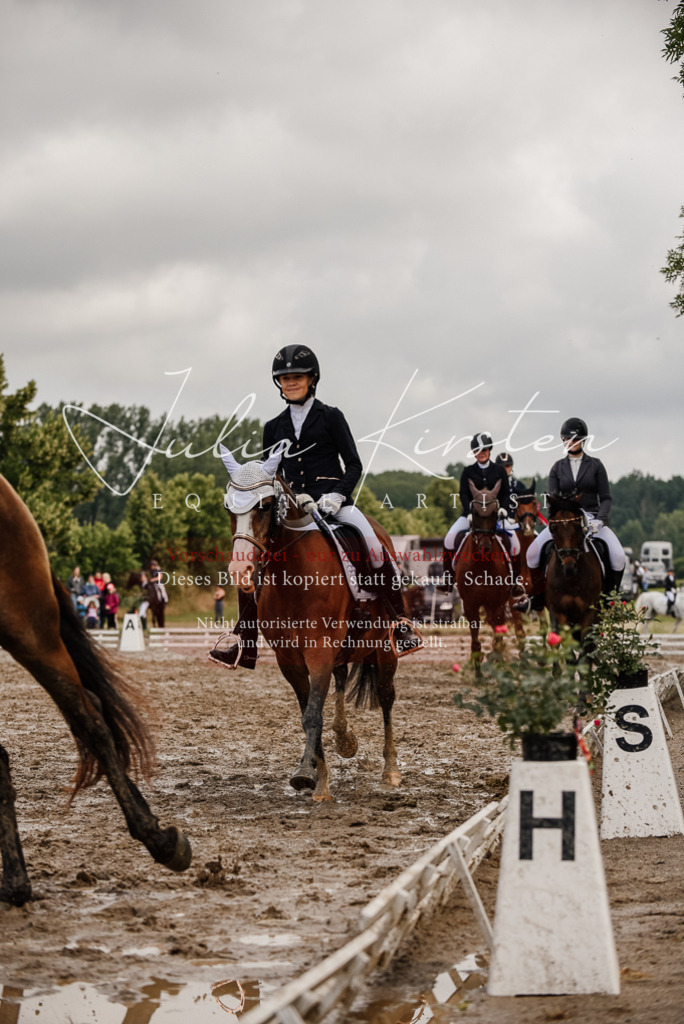 DSC_9391 | Pferde- und Turnierfotografie in Westsachsen. Pferdeportraits, Auftragszeichnungen und intuitive Kunst.