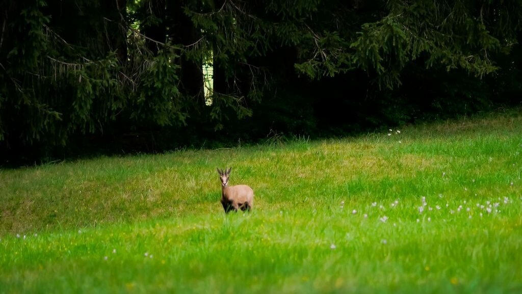 PSX_20220925_121447 | mtkfoto_ - Realisiert mit Pictrs.com