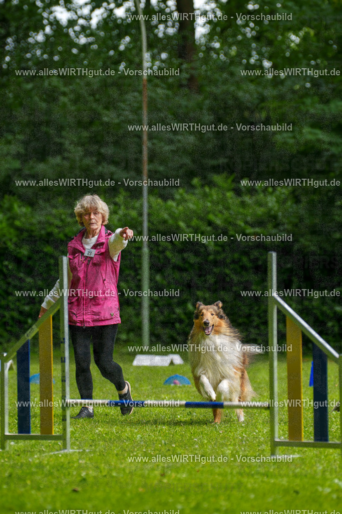 @allesWIRTHgut_Tierfotografie - www.allesWIRTHgut.de - 094953-7R507669 | Professionelle Tierfotografie in Mönchengladbach von Daniel Wirth (allesWIRTHgut). Liebevolle & natürliche Bilder von Hunden & Katzen für unvergessliche Erinnerungen.