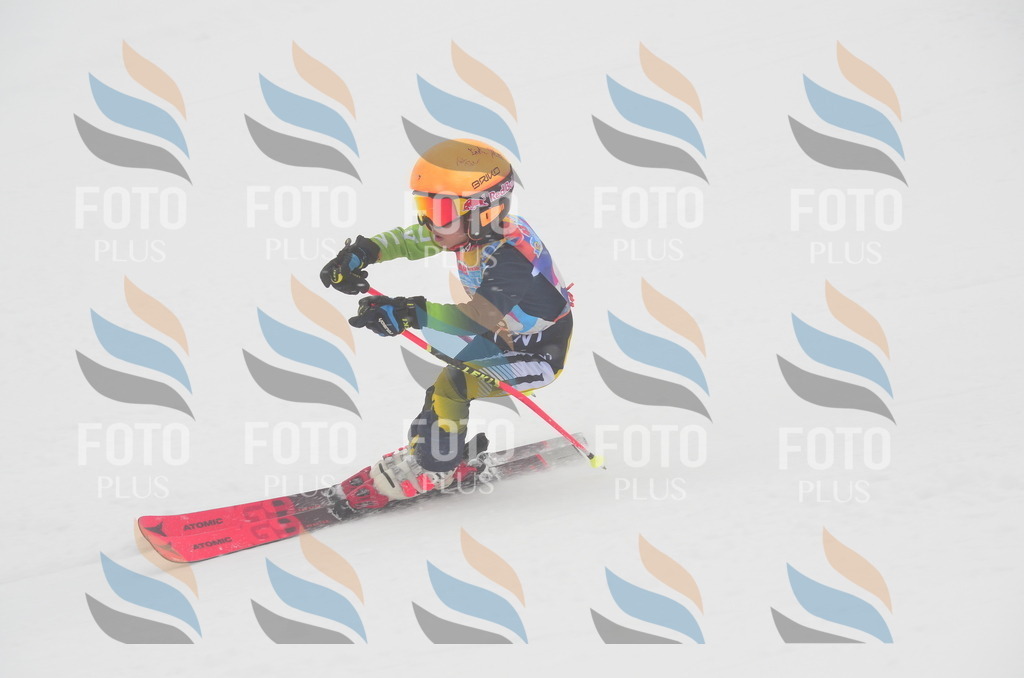 C0894 | holidayphoto