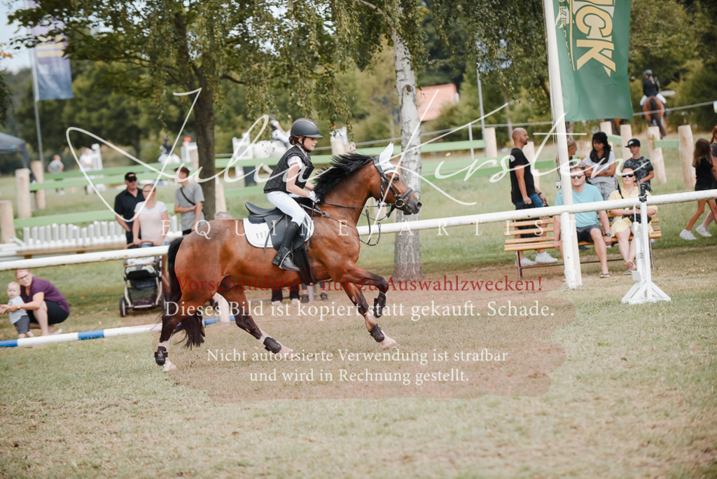 DSC_5497 | Pferde- und Turnierfotografie in Westsachsen. Pferdeportraits, Auftragszeichnungen und intuitive Kunst.