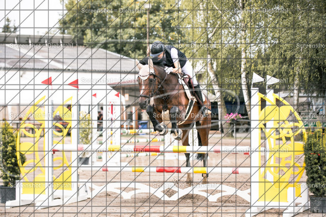 _W6A2119 | ronjaprokoschfotografie - Realisiert mit Pictrs.com