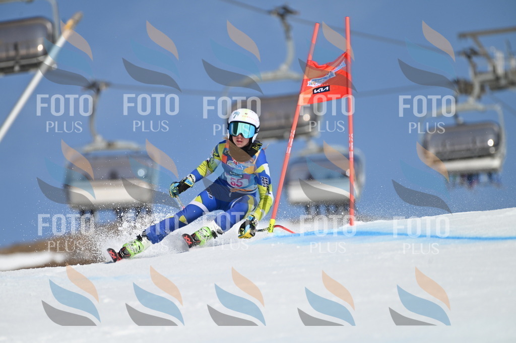 BGV_8617 | holidayphoto