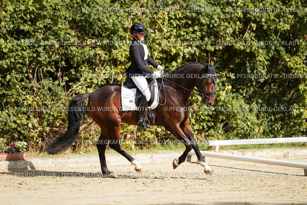 DSC07843 | Pferdegrafie