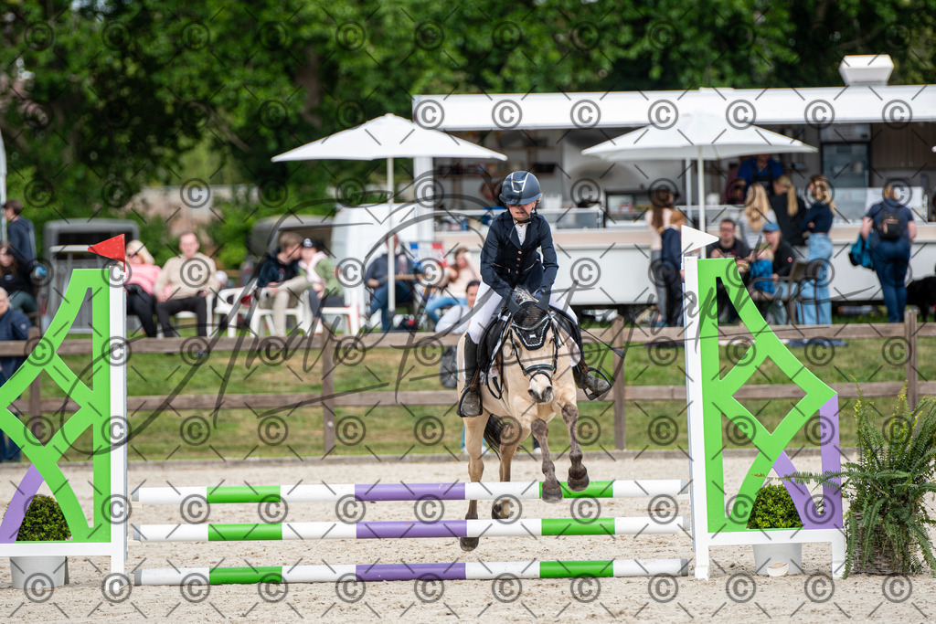 KPT_6097 | andre_photographic