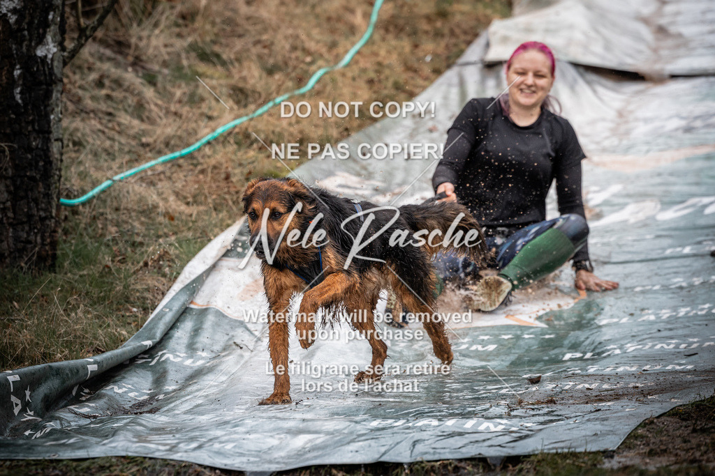 nelerasche_1230-1300_290 | nelerasche
