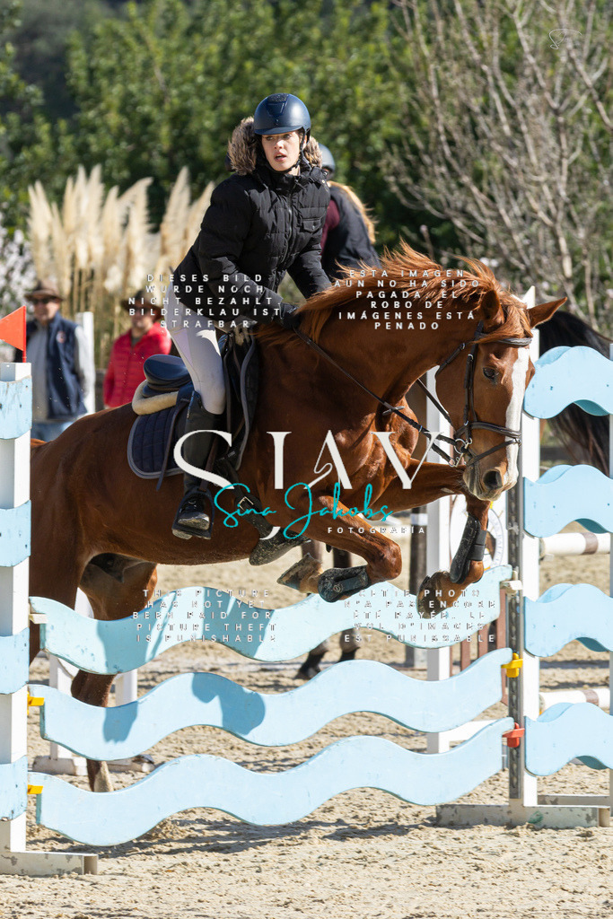 IMG_3891 | s-jay-photography - Realisiert mit Pictrs.com