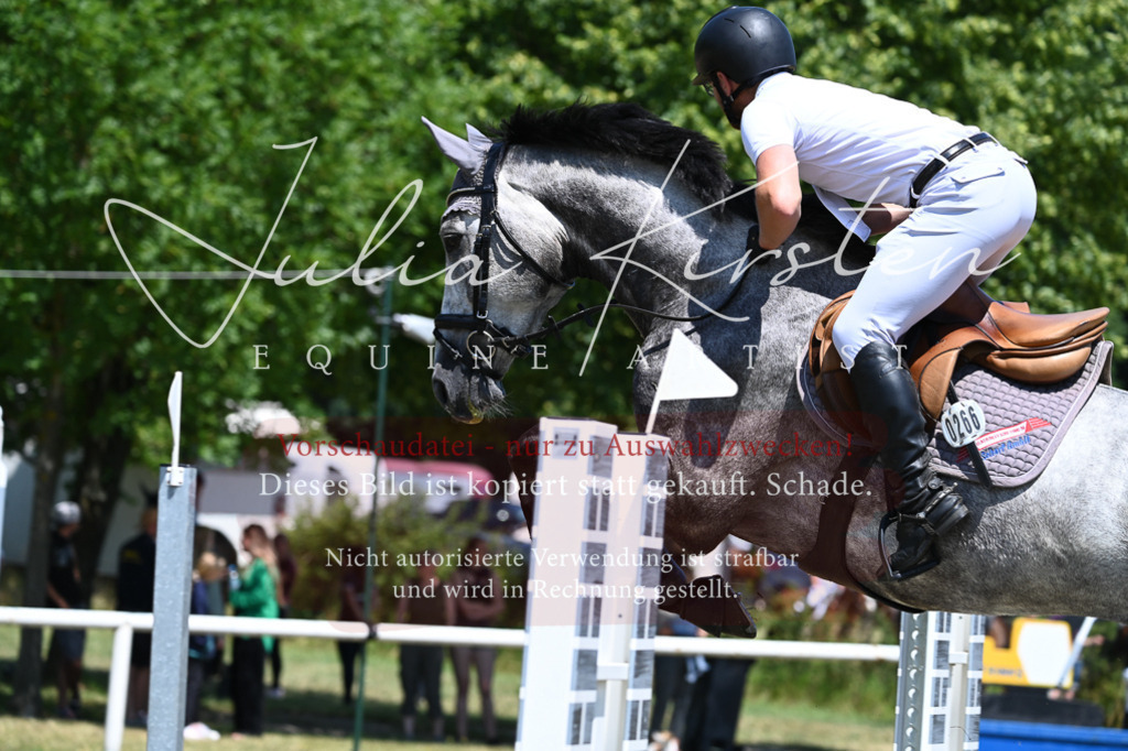 DSC_0543 | Pferde- und Turnierfotografie in Westsachsen. Pferdeportraits, Auftragszeichnungen und intuitive Kunst.