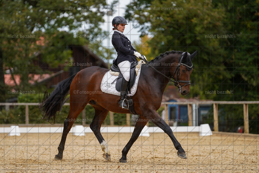 20231007-SN_00434 | Diessen am Ammersee, 2023, Dressur- und Springturnier, Reitsport, Turnierfotografie, Pferdebilder, Reitbilder, Turnierfotografen Bayern, Fotoagentur Herrmann