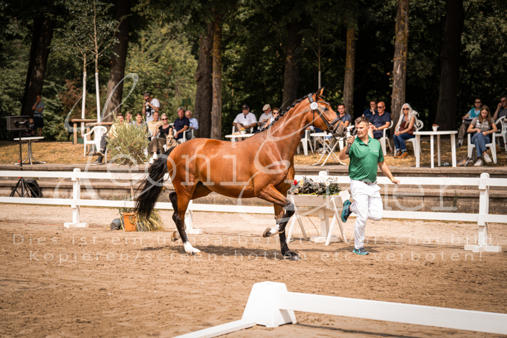 3.Fr00020 | Leoni Ertmer Photography - Realisiert mit Pictrs.com