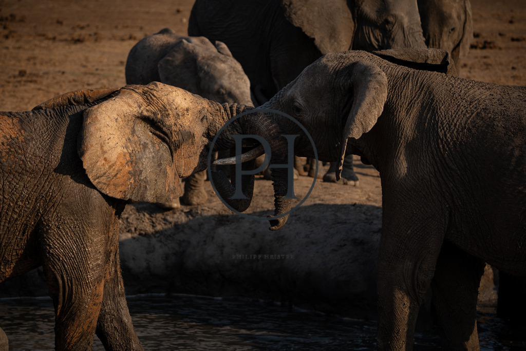 DSC08518 | Philipp-Heist - Realisiert mit Pictrs.com