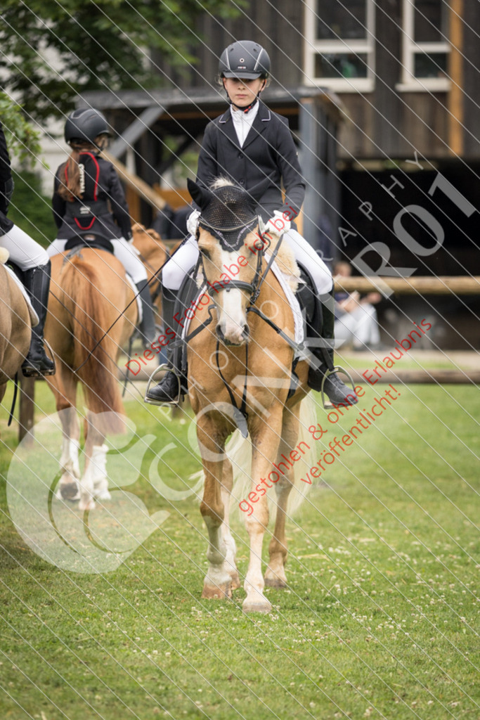 IMG_1658 | Sport-, Event- und Tierfotos in Profiqualität. Einfach auswählen, bestellen und herunterladen. Dein Moment – perfekt festgehalten.
