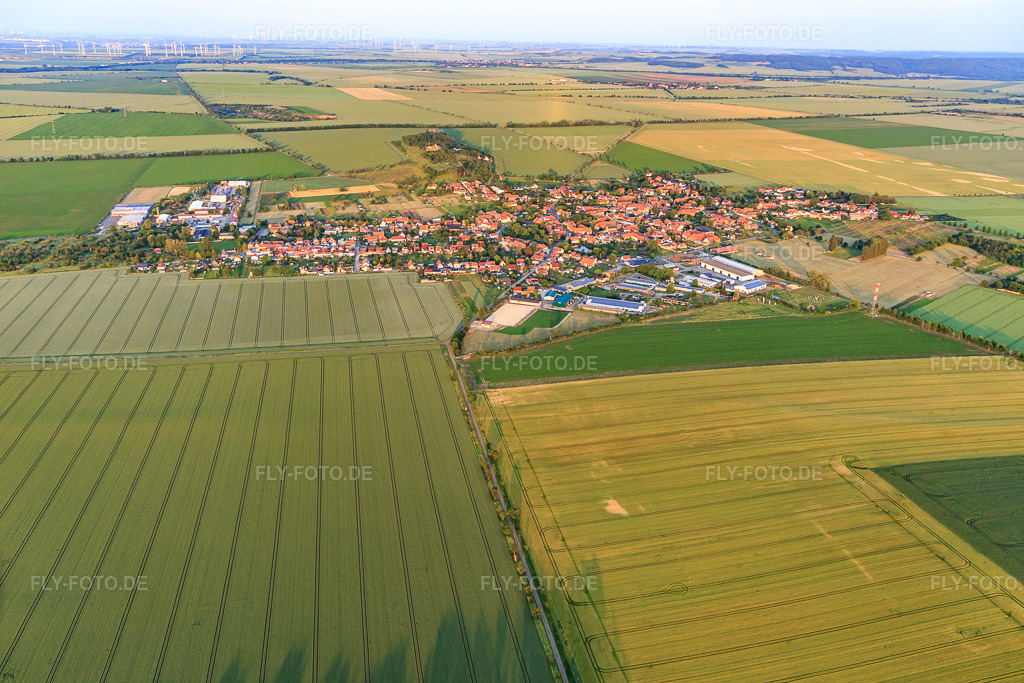 Luftbild: Ortsansicht aus Nordwesten im Ortsteil Badeborn in Ballenstedt im Bundesland Sachsen-Anhalt in Deutschland. Foto: IMG_148077.jpg vom 11.06.2025 durch Werner Riehm/FLY-FOTO.de