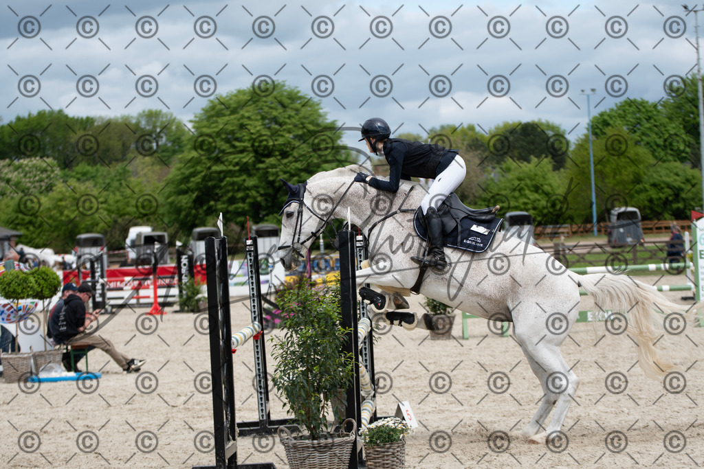 KPT_5403 | andre_photographic