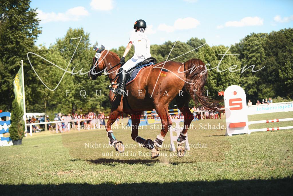 DSC_7611 | Pferde- und Turnierfotografie in Westsachsen. Pferdeportraits, Auftragszeichnungen und intuitive Kunst.