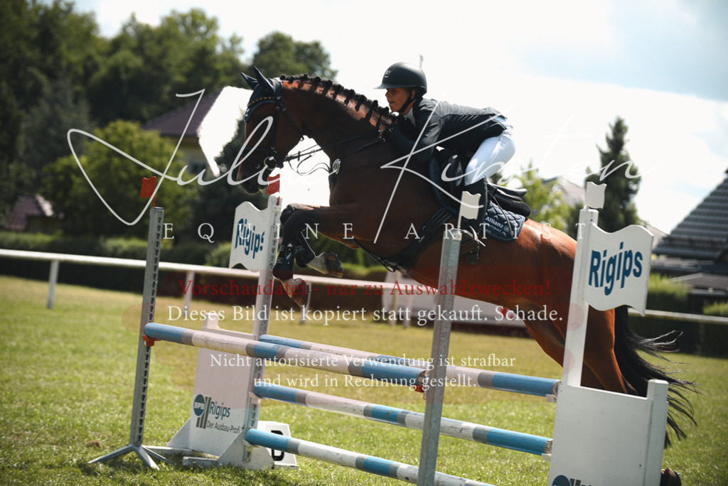 DSC_6460 | Pferde- und Turnierfotografie in Westsachsen. Pferdeportraits, Auftragszeichnungen und intuitive Kunst.