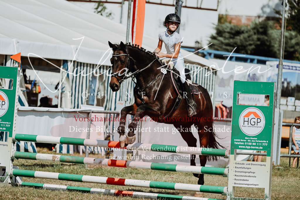 DSC_9834 | Pferde- und Turnierfotografie in Westsachsen. Pferdeportraits, Auftragszeichnungen und intuitive Kunst.