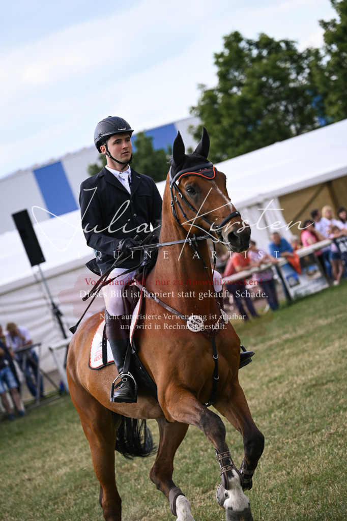 DSC_1010 | Pferde- und Turnierfotografie in Westsachsen. Pferdeportraits, Auftragszeichnungen und intuitive Kunst.