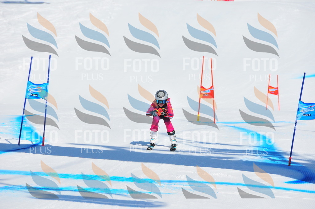 DSC_0795 | holidayphoto