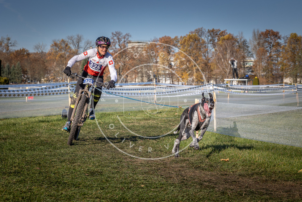 CaniXpix_0L8A5755 | Hundefotografie, Tierfotograf, Pfotenfotografie, Fotoshooting Hund, Hunde Portrait, Hundesport, Hundeportraits, Heideshooting, Hunde, Sportfotograf, Hundefotograf, Turnierhundsport, THS,  - Realisiert mit Pictrs.com