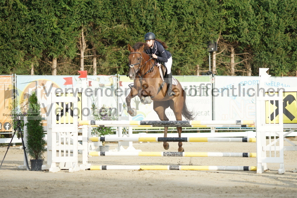 DSC01555 | equestrian-live-com