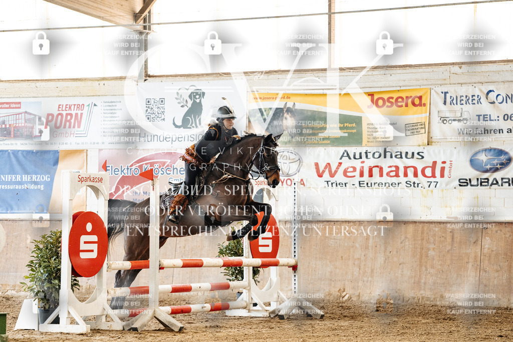 CK905523 | Turnierfotografie Pferdefotografie Trier Rheinland-Pfalz Pferdesport Reitsport Tierfotografie Sportfotografie Pferdevideo Pferdevideografie Equestrianvideography equestrianphotography  - Realized with Pictrs.com
