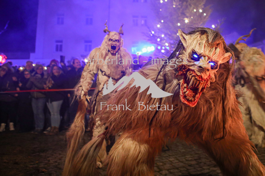 OE7A6897 | das Höllenspektakel im Bayerischen Wald am Abend vor der Sylvesternacht