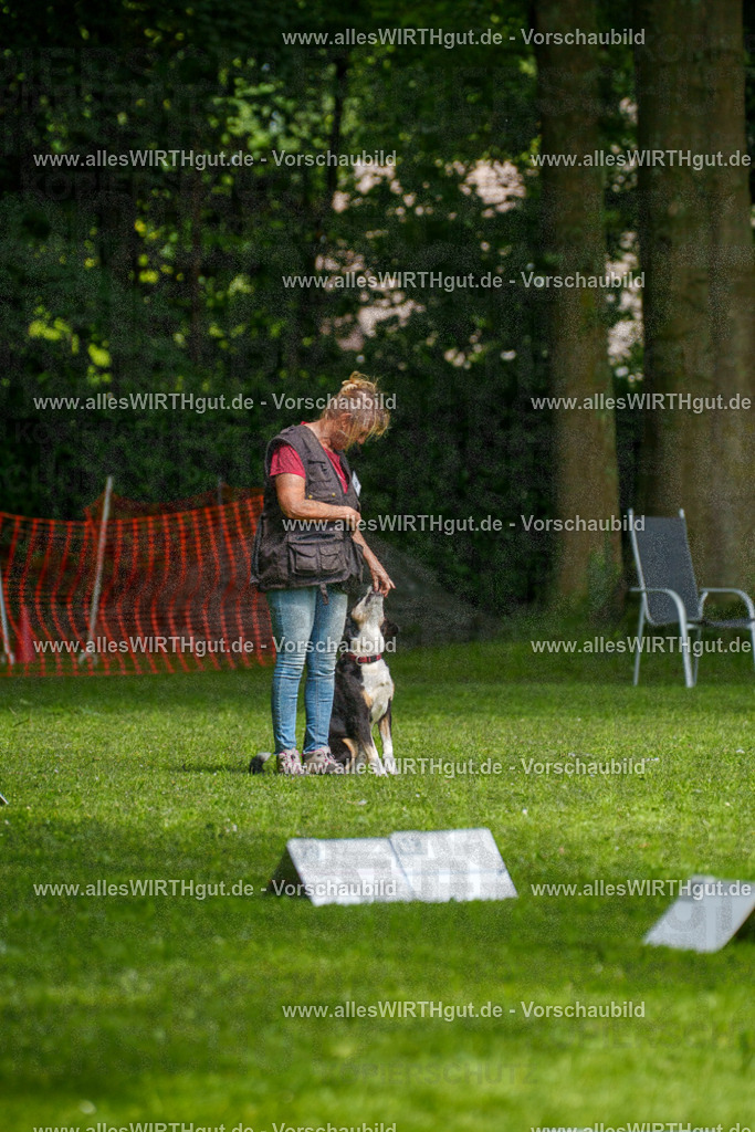 @allesWIRTHgut_Tierfotografie - www.allesWIRTHgut.de - 7R503363 | Professionelle Tierfotografie in Mönchengladbach von Daniel Wirth (allesWIRTHgut). Liebevolle & natürliche Bilder von Hunden & Katzen für unvergessliche Erinnerungen.