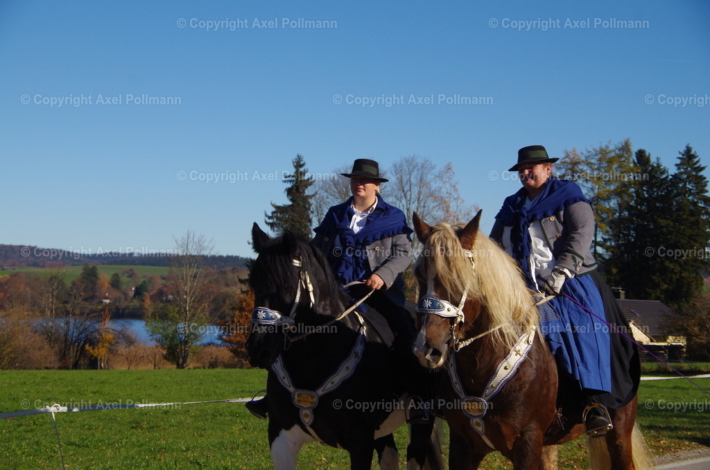 IMGP8540 | fotografiert von Axel PollmannLeonhardi Wallfahrt Benediktbeuern und Murnau, Fronleichnam, Fasching, Landschaft im Loisachtal und Benediktbeuern  - Realisiert mit Pictrs.com