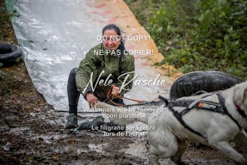 nelerasche_Hunsrück_Sa1000-1030_78-final | nelerasche