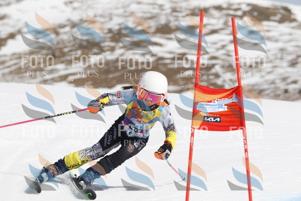 _U3G1405 | holidayphoto