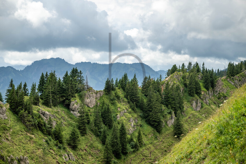 35. Gebirgsmarathon | 35. Gebirgsmarathon 2024 am 03.08.2024 in Immenstadt. Einer der anspruchsvollsten​und ältesten Bergläufe​Deutschlands im Naturpark Nagelfluhkette!(Foto: Dominik Berchtold/www.dberchtold.com)Instagram: @d_berchtold_foto 