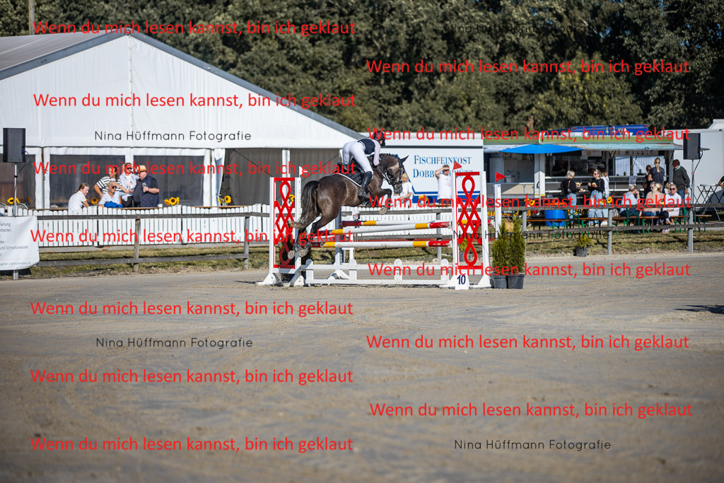 BK1A5958 | Turnierbilder Turnierfotos Nina Hüffmann Turnierfotografie Pferdefotografie Tierzeichnung Haustierzeichnung Pferdezeichnung Hundezeichnung Videograf  - Realisiert mit Pictrs.com