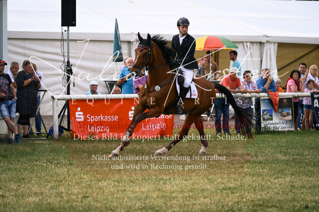 DSC_0993 | Pferde- und Turnierfotografie in Westsachsen. Pferdeportraits, Auftragszeichnungen und intuitive Kunst.