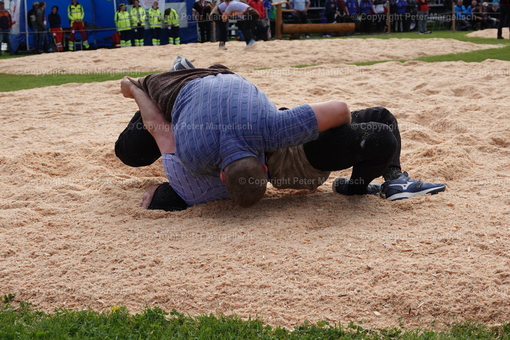 DSC00675 | Schwingen - Realisiert mit Pictrs.com