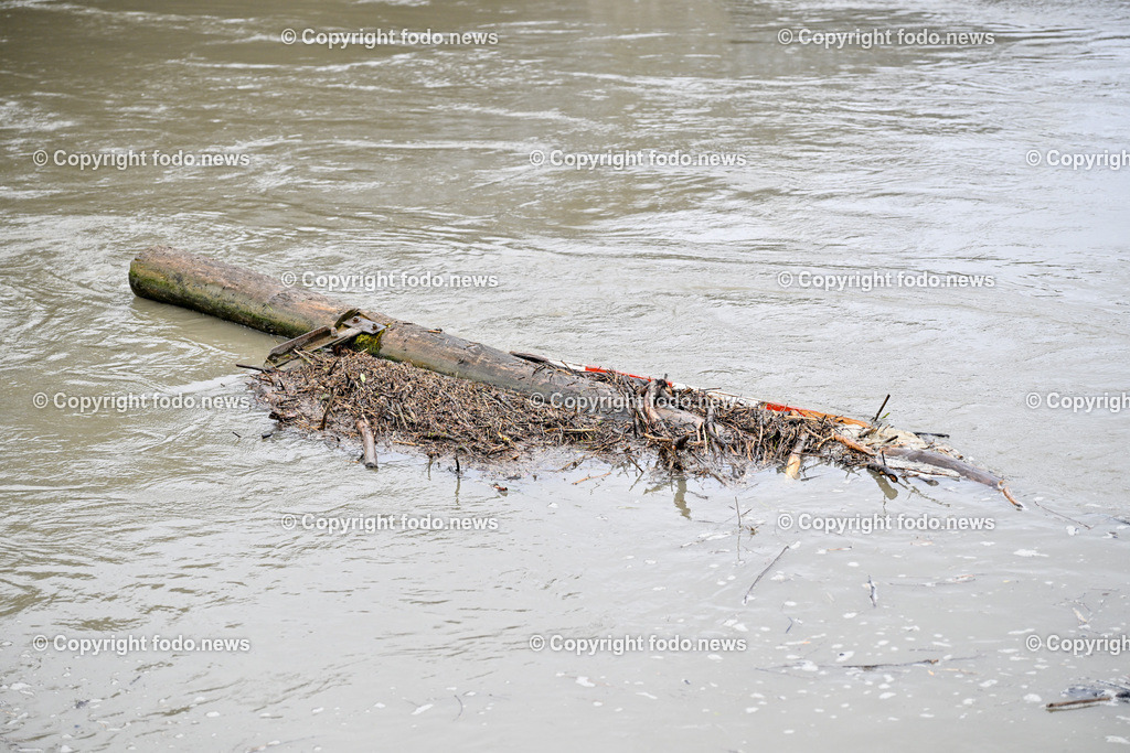 Linz_ Urfahr_ Hochwasserschutz_ 02.06.2024-19 | 02.06.2024, Linz, AUT, Urfahr, Hochwasser, im Bild Vorbereitung Hochwasserschutz Donaulaende Linz Urfahr, Hochstand Donau, Treibholz