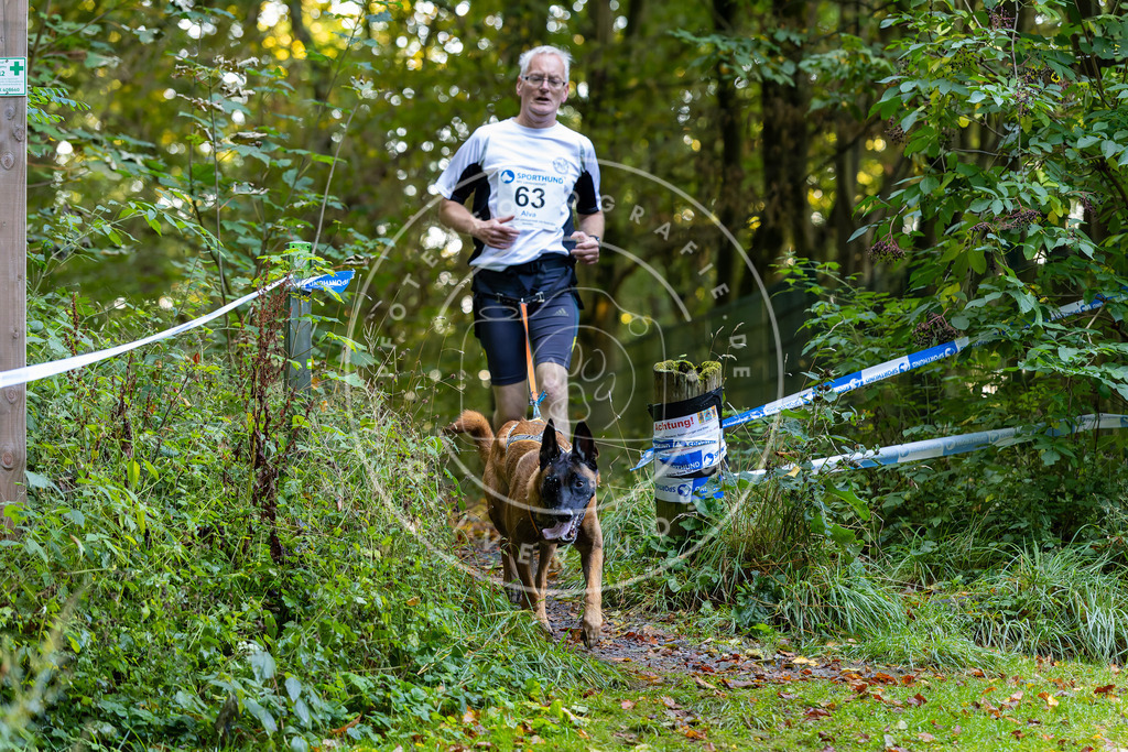 Pfotenfotografie_DV3A7224 | Hundefotografie, Tierfotograf, Pfotenfotografie, Fotoshooting Hund, Hunde Portrait, Hundesport, Hundeportraits, Heideshooting, Hunde, Sportfotograf, Hundefotograf, Turnierhundsport, THS,  - Realisiert mit Pictrs.com