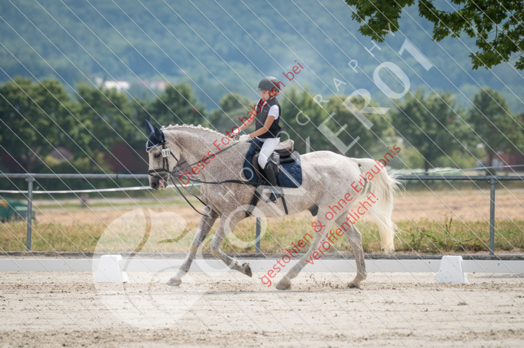 Z62_3571 | Sport-, Event- und Tierfotos in Profiqualität. Einfach auswählen, bestellen und herunterladen. Dein Moment – perfekt festgehalten.