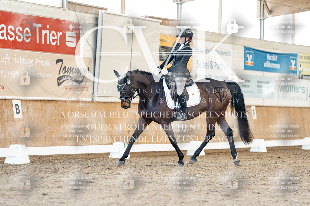 CK908013 | Turnierfotografie Pferdefotografie Trier Rheinland-Pfalz Pferdesport Reitsport Tierfotografie Sportfotografie Pferdevideo Pferdevideografie Equestrianvideography equestrianphotography  - Realisiert mit Pictrs.com