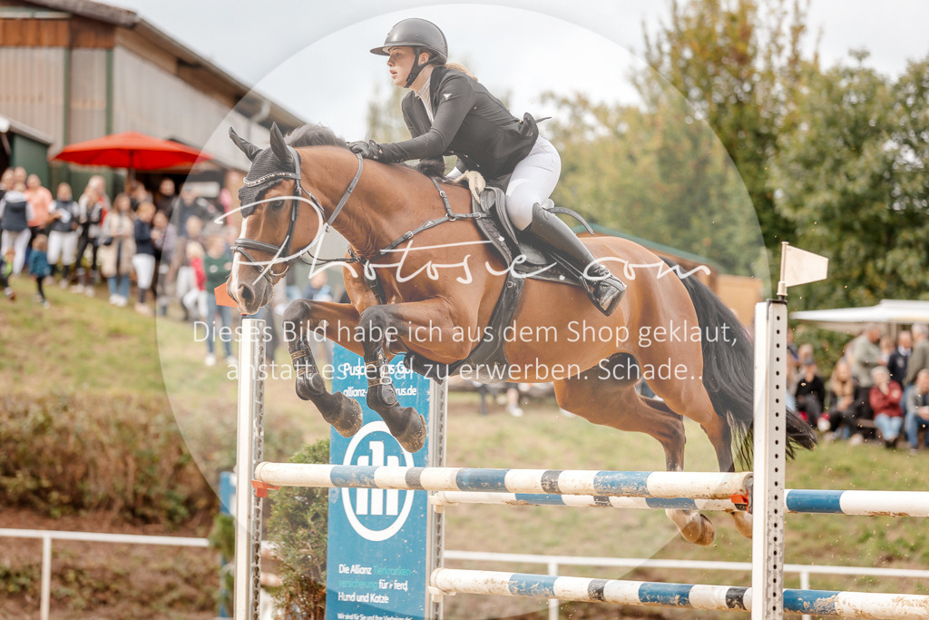 3I6A8250 | Stimmungsvolle Portraits und Reitsportfotografie im Ruhrgebiet und im Münsterland.

Pferdefotografie, Hundefotografie, Tierfotografie, Reportagen, Portraits von Tier und Mensch, Turnierfotografie in Bochum, Recklinghausen, Marl, Haltern am See, Dülmen.. - Realisiert mit Pictrs.com