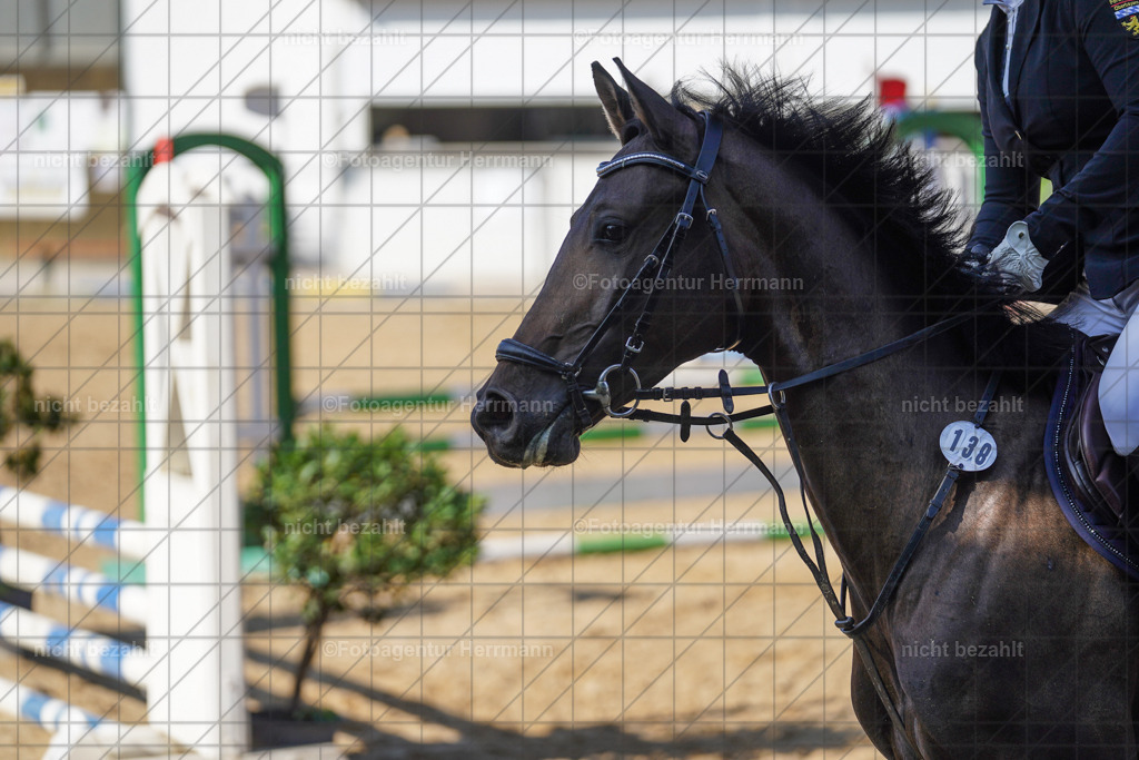 20240824-FAH07245 | Thierhaupten 2024, Bayerisches Landesponyturnier, Turnierbilder, Ponybilder, Turnierfotografen Bayern, Fotoagentur Herrmann