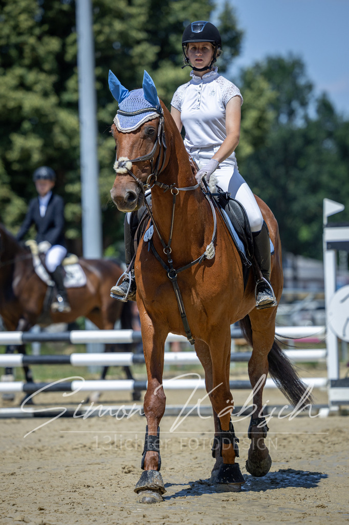 20260704-_3LI8314 | Tierfotografie Pferde, Hunde, Katzen, Haustiere.
Turnierfotografie Reitturniere, Reiten, Springreiten, Dressur in Hanau, dem Main-Kinzig-Kreis und dem Rhein-Main- Gebiet um Frankfurt